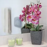 Apartament Bairrus - Mello *